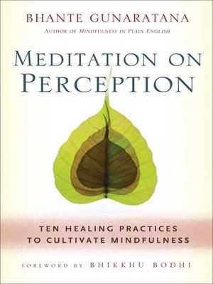 cover image of Meditation on Perception